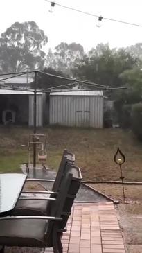 Excited Dog Tries to Catch Rain Drops Credit: Georgia Smith via Storyful