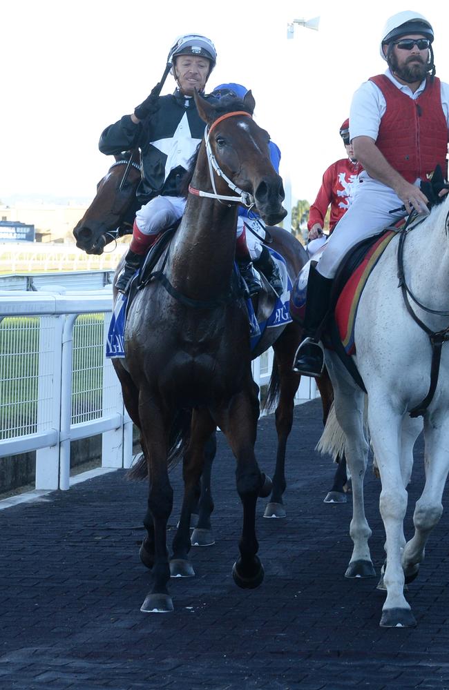 Michael Cahill brings Leebaz back to scale after winning the Group 2 Hollindale Stakes. Picture: Grant Peters, Trackside Photography