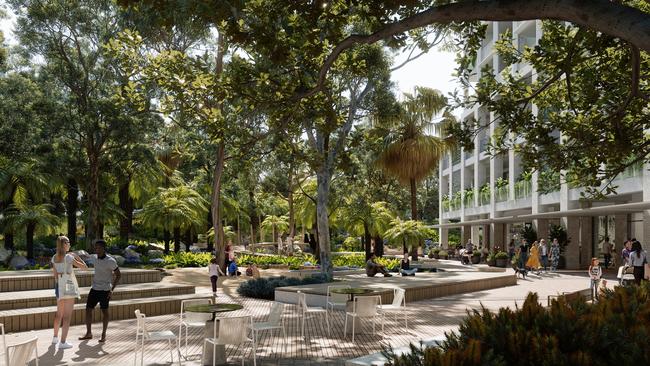 Artist impression of the public plaza linking Banksia to the Lacebark apartment buildings.