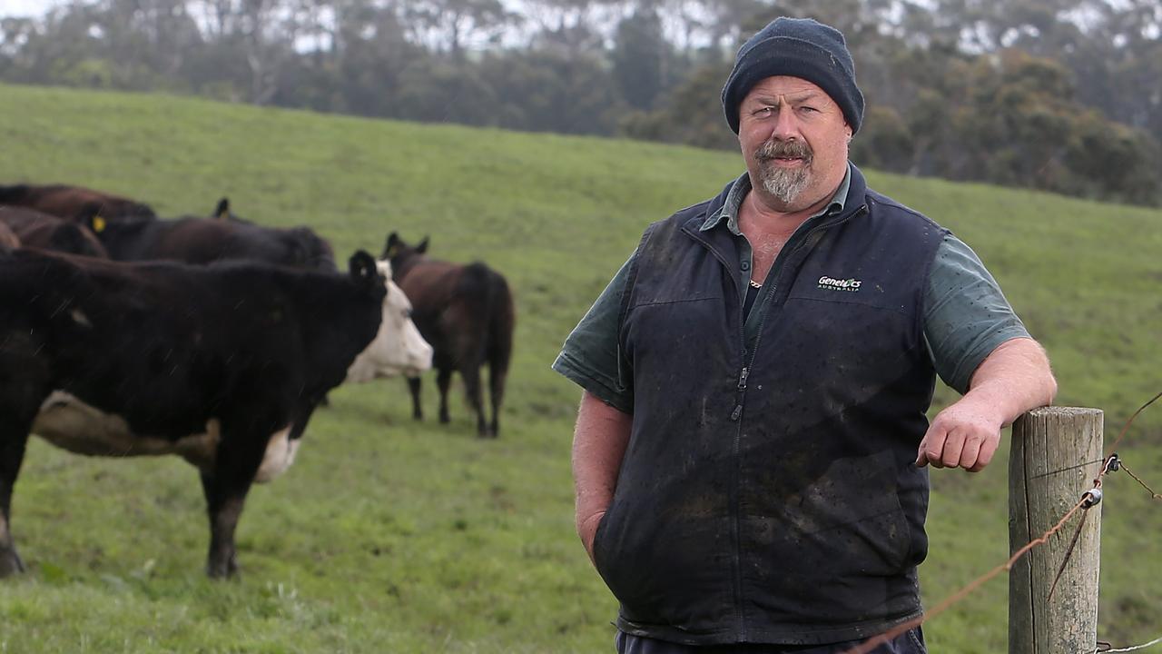 Gippsland dairy farmer transitions to beef after four decades | The ...