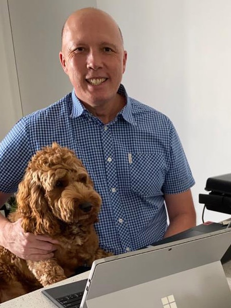 Peter Dutton with dog Ralph at home after testing positive with COVID-19.