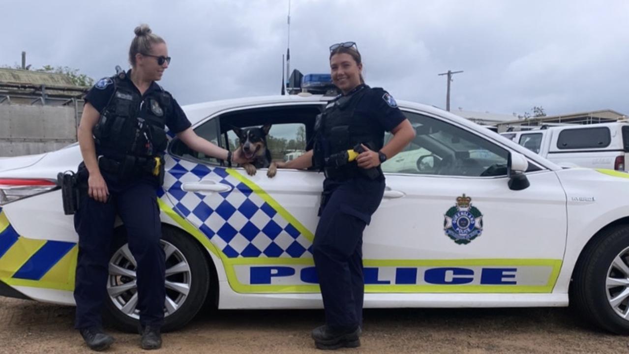 Gatton Constables volunteer their time to ensure the dogs at Laidley Brave Companion Dog Rescue are happy and walked on a regular basis.