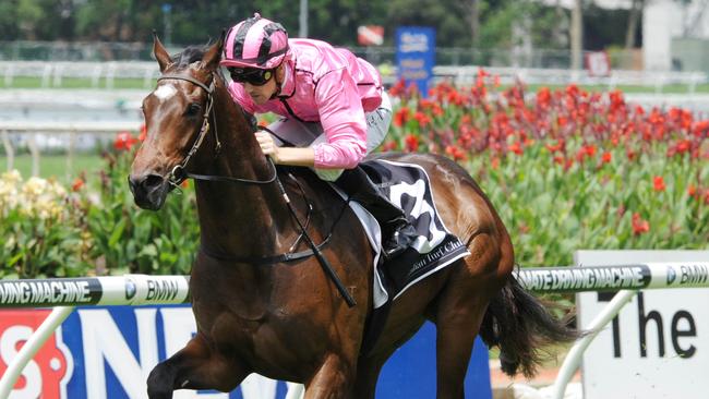 Voilier is the best of the day at Canterbury, according to Ron Dufficy. Picture: Simon Bullard