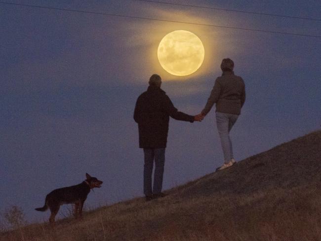 Peter and Maree Baker with Wags the dog on their farm in Baringhup, about 100km northwest of Melbourne. Picture: Rob Leeson