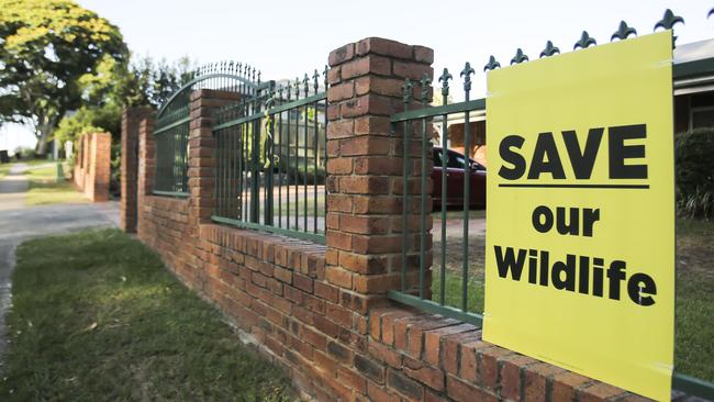 A sign on a Dorville Rd house protesting the State Government's high-density redevelopment of the former QUT campus at Carseldine. Picture: Mark Cranitch.