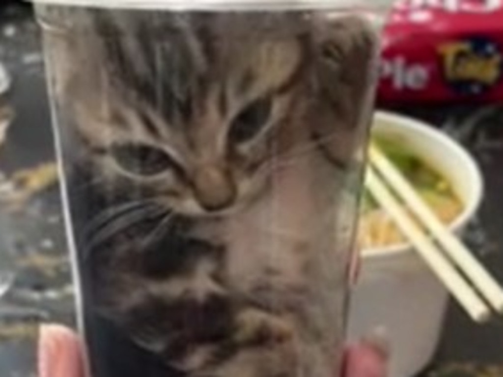 What do you think of this kitten-in-a-cup - is it cute or cruel? Picture: screengrab/Newsflare via Reuters Connect. Copyright: This asset – including all text, audio and imagery – is provided by Newsflare. Reuters Connect has not verified or endorsed the material, which is being made available to professional media customers to facilitate the free flow of global news and information.