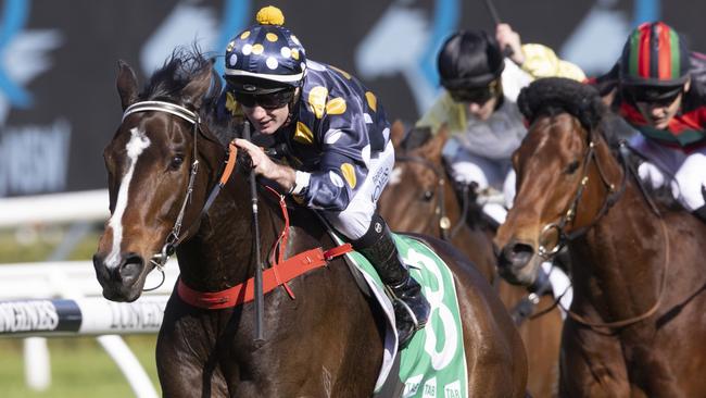 Casino Kid looks a good chance to win again. Picture: Getty Images