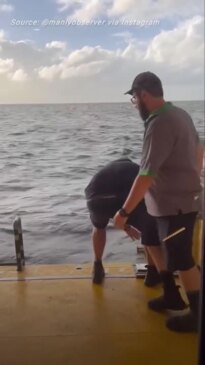 Ferry staff save stranded kayaker