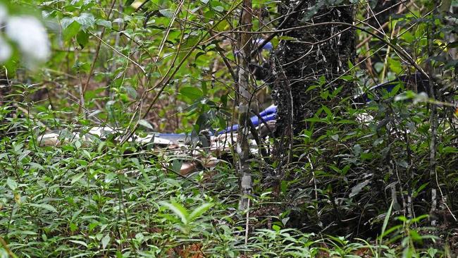 The 51 year olds trail bike at fatal in the Ibil State Forest. Picture: Troy Jegers