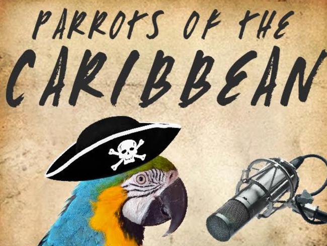Audible announces a talking book voiced by a parrot. Picture: Supplied