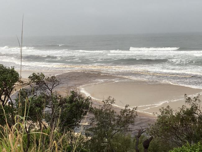 Sunrise Beach residents hold grave fears for Burgess Creek which they say has been contaminated with sewage and stormwater run-off for months.