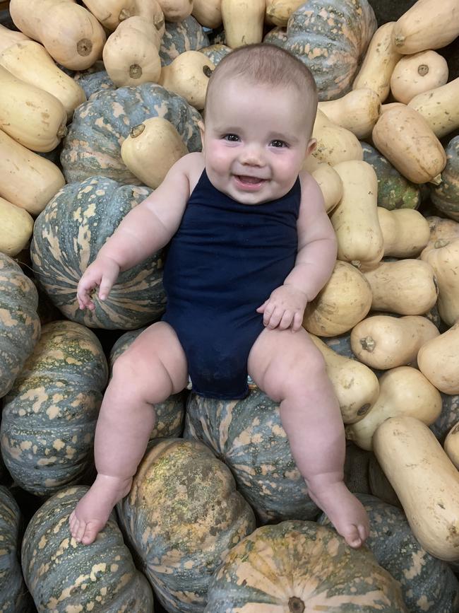 Marley Simmons having fun in the pumpkin patch at his favourite shop Greenies. Picture: Scott Simmons