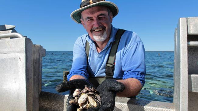 Pacific State Oysters owner Steve Bowley has been forced to close operations while authorities investigate the toxic algae. Source Dean Martin.