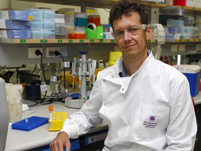 BRISBANE, AUSTRALIA - NewsWire Photos MARCH 17, 2023: Keith Chappell is a member of the UQ molecular clamp science team, developing a vaccine platform for future pandemic agents. Picture: NCA NewsWire/Tertius Pickard