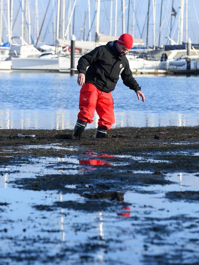 Sandringham Yacht Club coach and instructor Riccardo Deghi mired in the black sludge. Picture: Penny Stephens