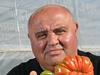 Russian roulette: Tomato grower in biosecurity showdown with PIRSA