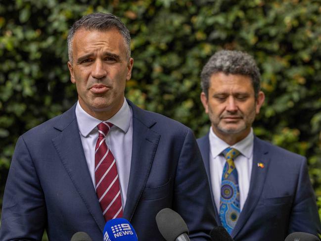 Peter Malinauskas, Premier of South Australia. Pictured on November 27th 2024. Picture: Ben Clark