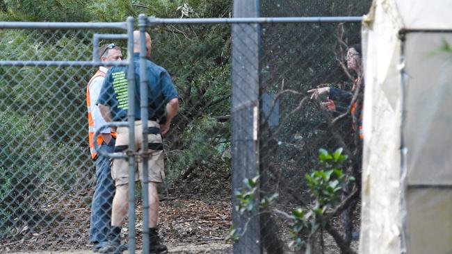 Ain investigation is underway at the zoo. Picture: News Corp/Simon Bullard