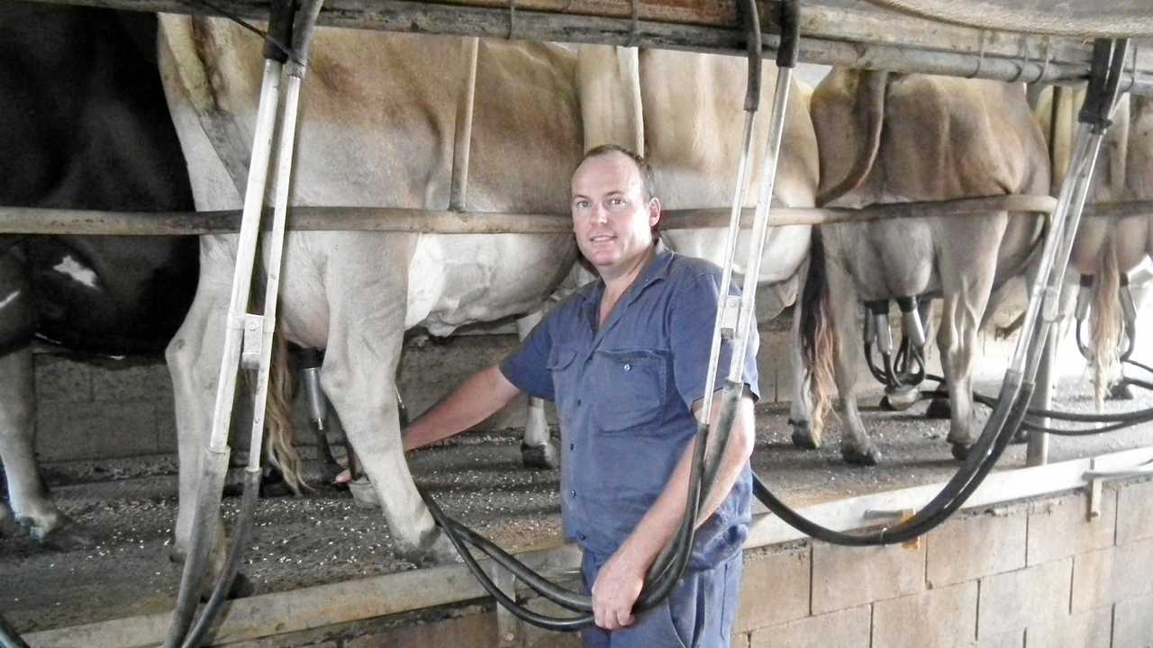 MILK WARS: Farmer walks away from dairy of 15 years | The Courier Mail