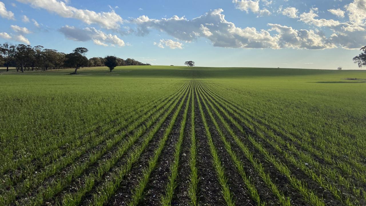 Corinella Group’s Victorian and South Australian grain farms were recently sold for close to $370m to 27 local purchasers.