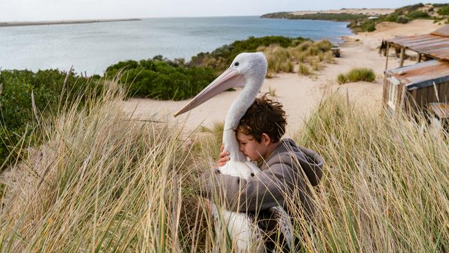 A scene from the remake of Storm Boy, released this month. Picture: Supplied