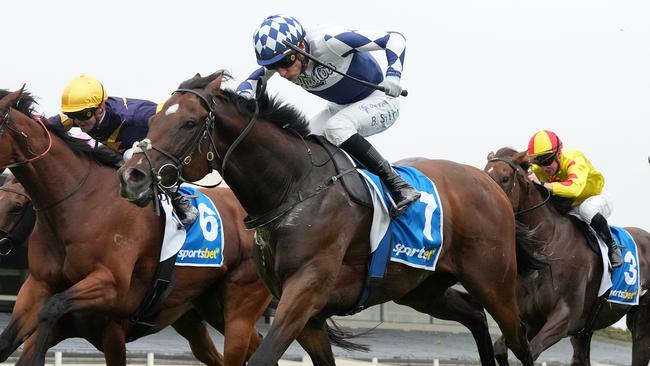 Lethal Thoughts is ready to win after two promising runs this time in when he heads to Sandown on Saturday. Picture: Racing Photos via Getty Images