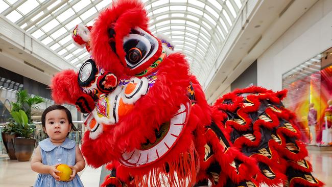 Shoppers gather to watch Chinese New Year celebrations at Chadstone Shopping Centre with the Lunar New Year on 29 January.Audrey 14mths holds an orange during the Dragon Dance performance. Picture: Ian Currie