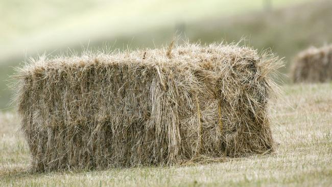 Hard sell: Exporters will be struggling to find buyers and even the best bales may be discounted at $180 to $200 a tone ex-farm.