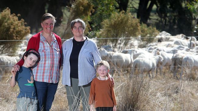 Serenity Hill, Kirsten Larsen, and their children Charlie Larsen-Hill and Eaden Larsen-Hill, at Pukawidgee, Warrenbayne. Picture: Yuri Kouzmin