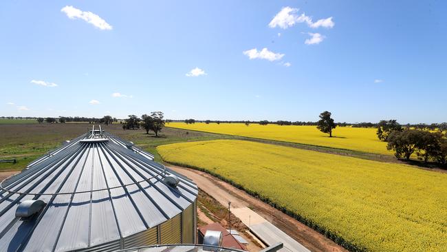 Tim Dowling & his daughter Gaby with their canola crop, "Tara, Mulwala, NSW,  Picture Yuri Kouzmin