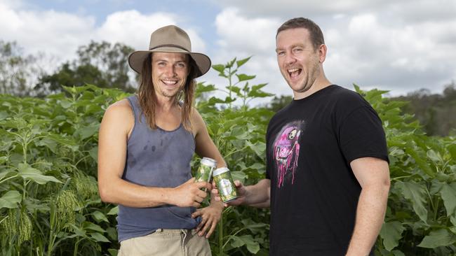 COPYRIGHT WARNING for Moreton Life ONLY. Phone Kylie Knight 3480 8226. Loop Grower's Phil Garozzo and Newstead Brewing Co CEO Mark Howes. Story on Fennel Beer collaboration with Newstead Brewing Co.