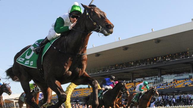 Just Thinkin’ (Tim Clark) leads throughout to win well at Rosehill Gardens yesterday. Picture: AAP