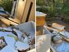 Everything, including kitchen sink, dumped in national park