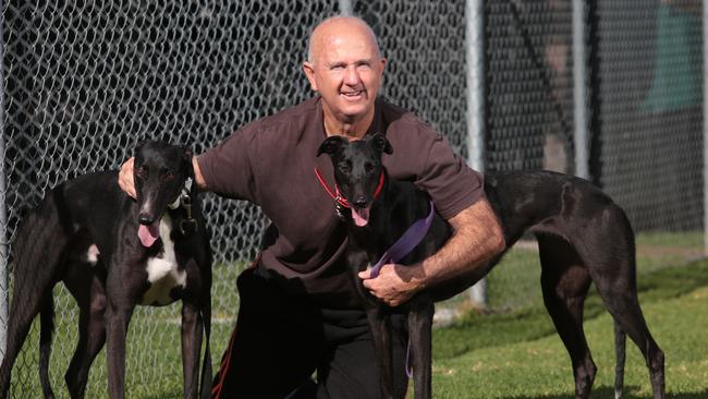 Mr Marsden got his first dog at the age of 13 after scrapping together enough money from odd jobs. He is pictured with Hardaway Highway and My Lady Day. Picture: Rob Pozo