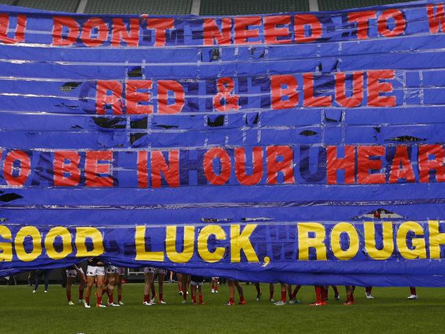 Demons touching banner for Roughy