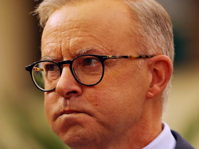 Labor leader Anthony Albanese. Picture: Sam Ruttyn