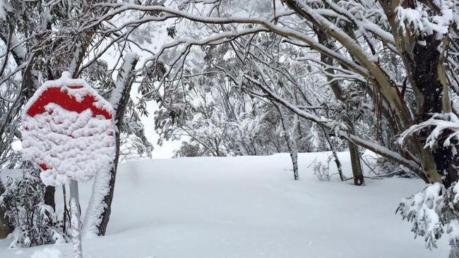 It’s the season that just won’t STOP. Geddit? Pic: Thredbo Facebook.