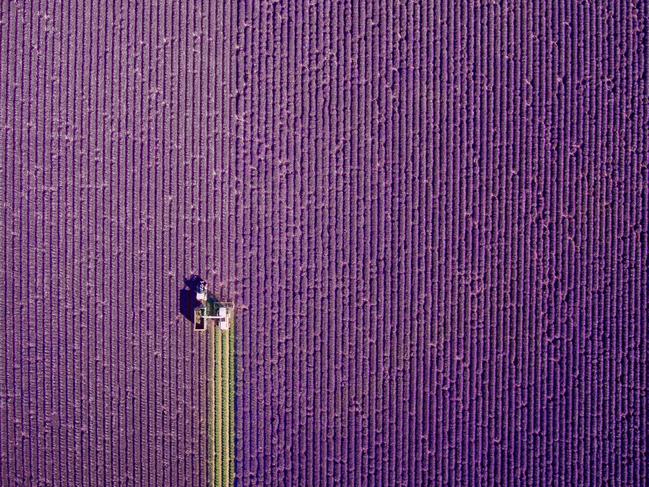 Summer trim, France by Jerome Courtial. “I went to Valensole hoping to get an original picture rather than the classic view with the sunset in the background. I knew this was the beginning of the harvest season so I hunted down tractors and waited patiently until some started to harvest in a pattern that would create a pleasing composition from above. I just had to start the drone engine and capture the photo against really strong wind. I thought I would have had a nice picture in the day”