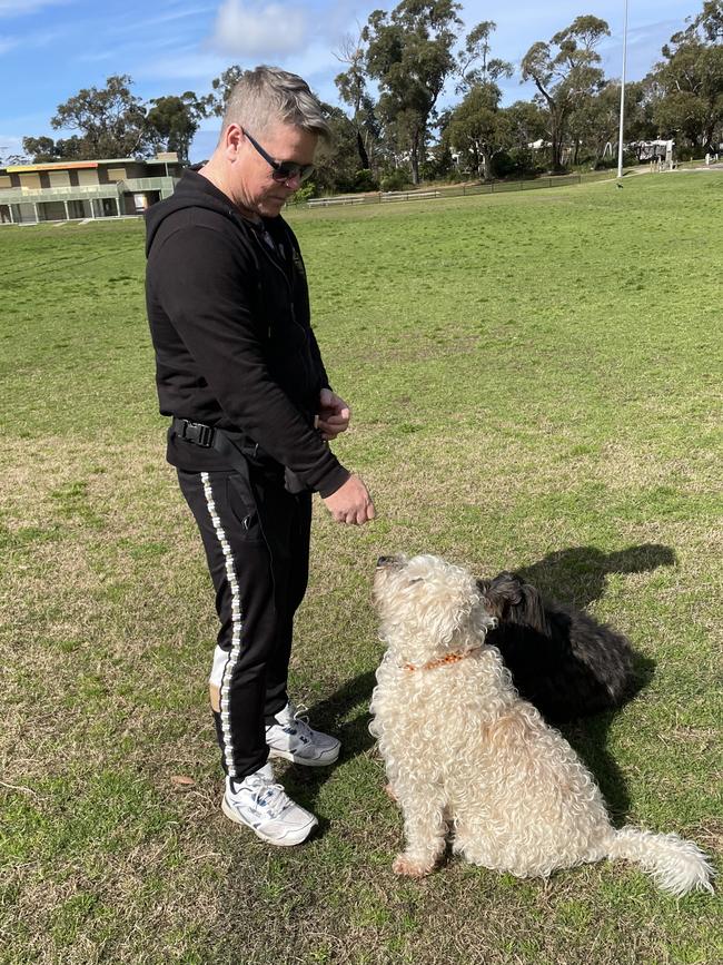 Mark Hickey is the owner/director of The Sydney Dog Trainer.