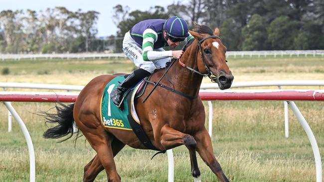 Major Share scored a big win at Terang on New Year’s Day. Picture: Reg Ryan/Racing Photos via Getty Images