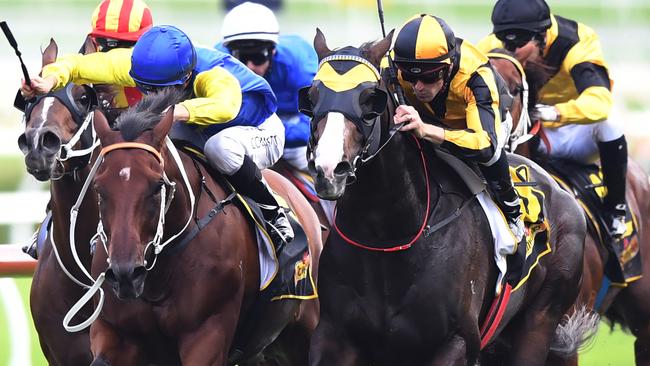 Trapeze Artist, right, edged out Le Romain in the All Aged Stakes. Picture: AAP