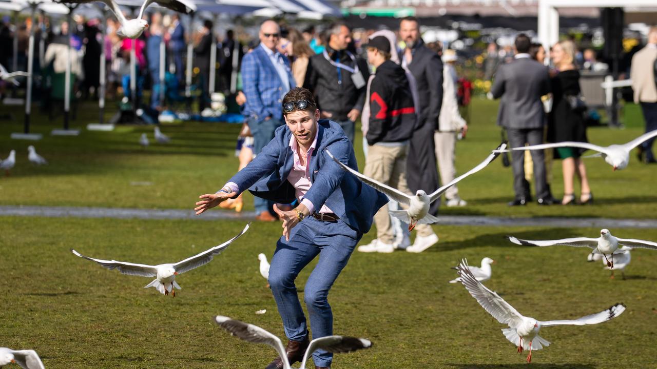 The new rules will come into effect on one of the booziest days of the year: Melbourne Cup Day. Picture: Jason Edwards