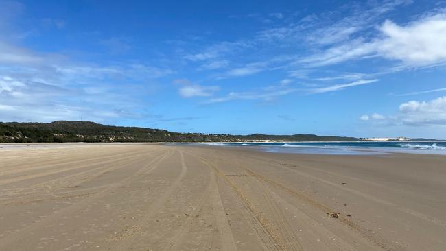 Eight shorebirds have been killed on Fraser Island after a person in a four-wheel drive allegedly deliberately drove through the flock earlier this week.