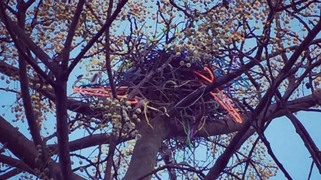 Louisa Chandler spotted this magpie nest made of coat hangers in Lilydale.