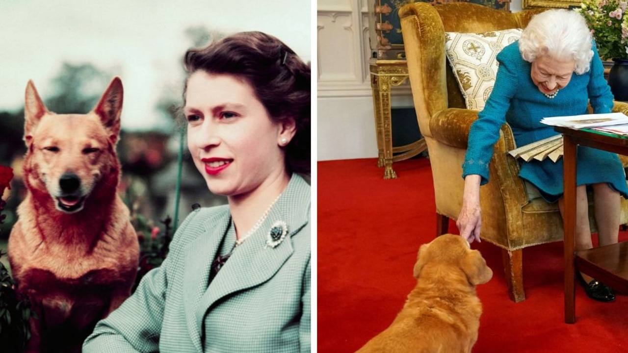 Queen Elizabeth II left beloved corgis to son, Prince Andrew | news.com ...