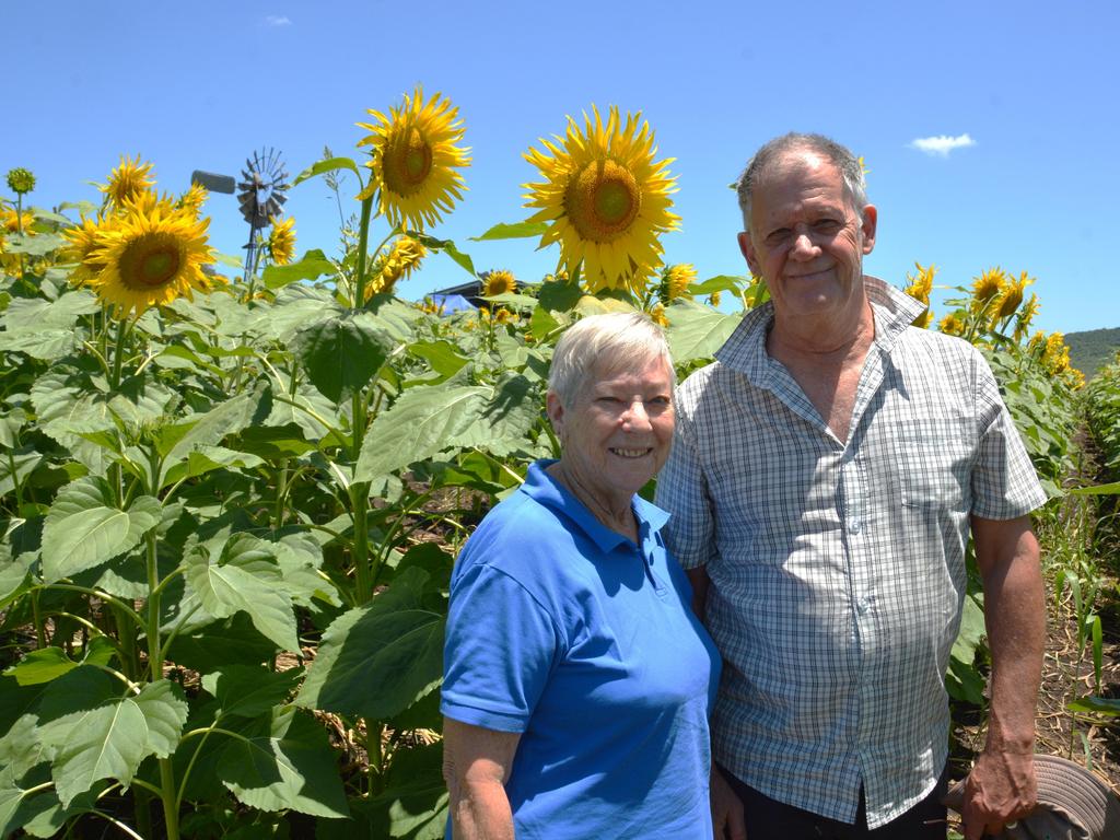 Lilyvale Flower Farm's impressive sunflower crop saw dozens flock to the sunny fields, including (from left) Carole and Dennis Macdonnell on Sunday, December 22, 2024. Photo: Jessica Klein