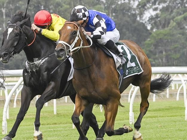 Wyong preview: Fulfilled ready for first Aussie win