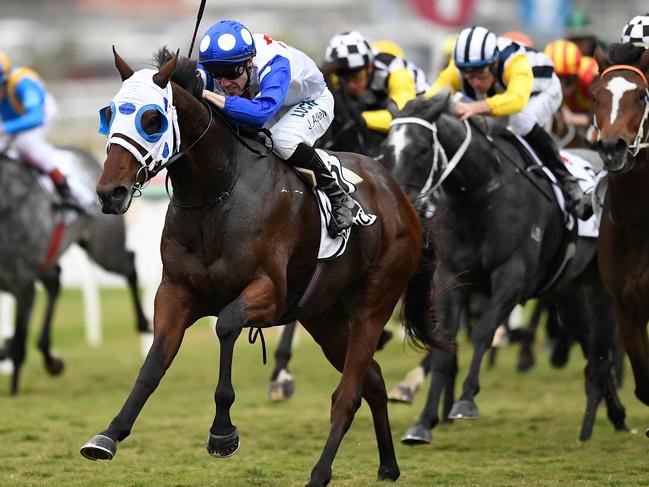 Mr Quickie charges to victory in the Queensland Derby.