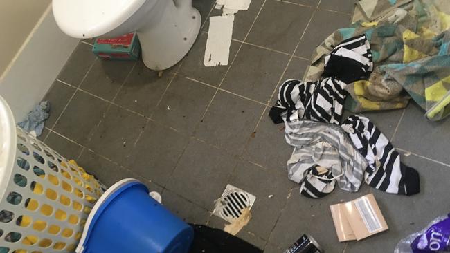 Some 25 pets were found living in filthy conditions in a Caboolture home as their owner struggled to care for them, as well as her ailing mother. Picture: RSPCA