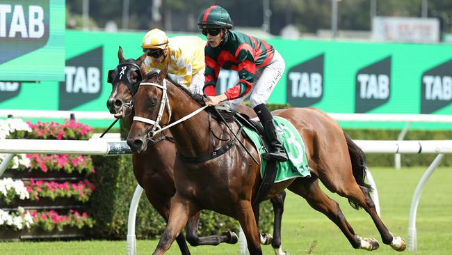 Lady Shenandoah cruises home to win the Group 2 Light Fingers Stakes at Randwick. Picture: Getty Images